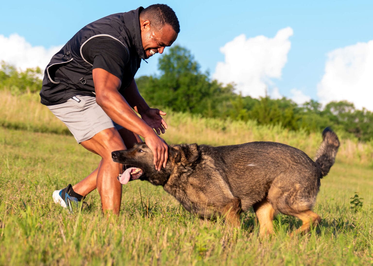 Unleashing the Benefits of Hiring a Dog Behaviorist for Family Dog Training in Kansas City