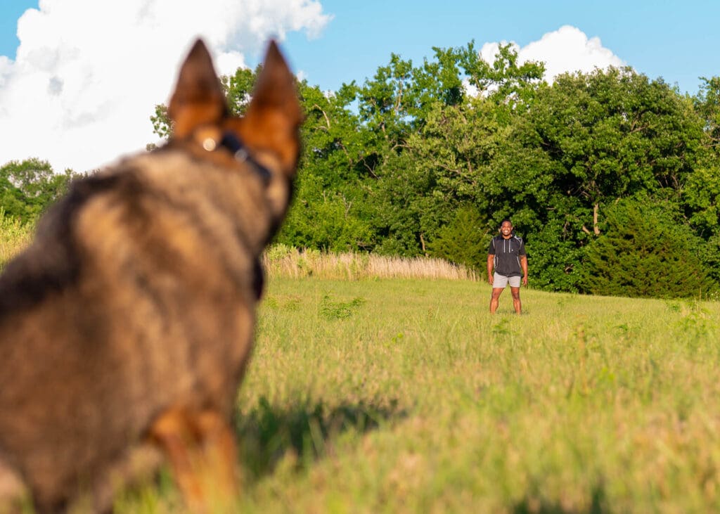 Board and Train Precision Dog Training