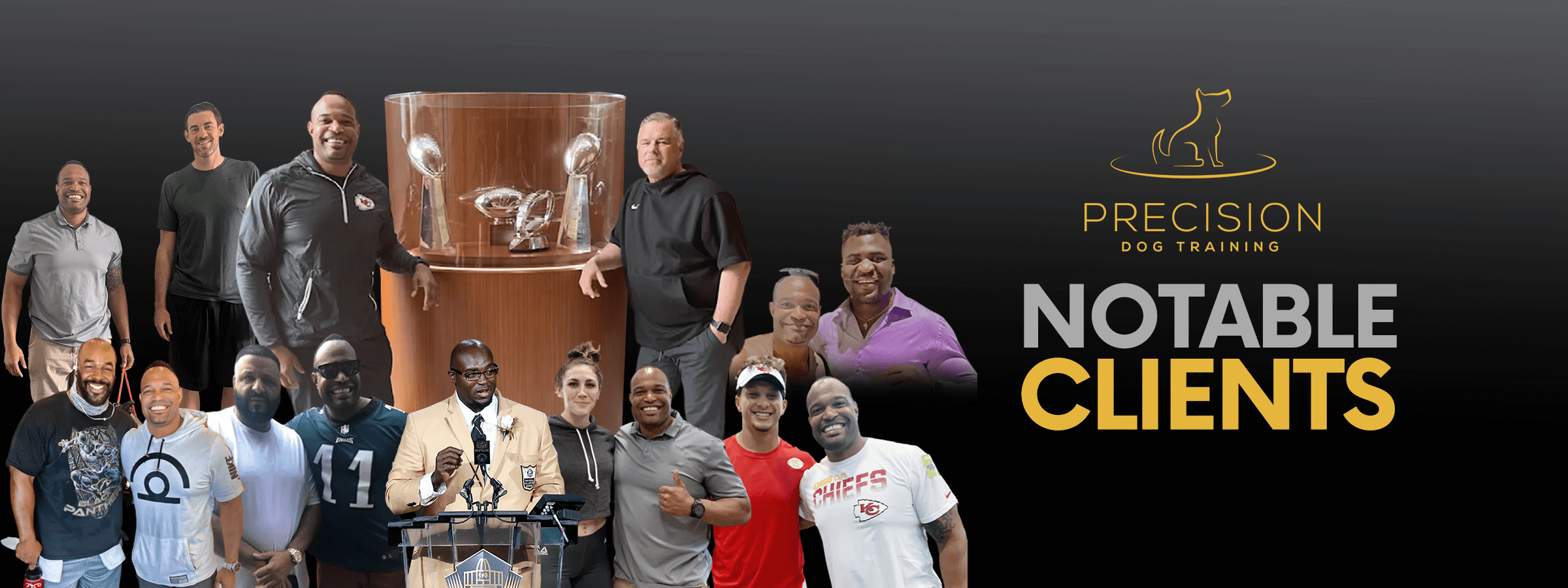 Best Dog Trainer Kansas City Precision Dog Training