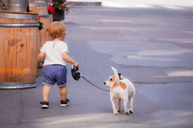 Best Dog Trainers in Kansas City