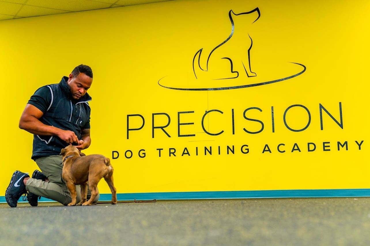 Precision Dog Training Academy