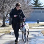 Board and Train vs. Private Training: Which Is the Right Choice for Your Dog?