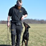 The Role of Consistency in Dog Training: How Small Changes Lead to Big Results