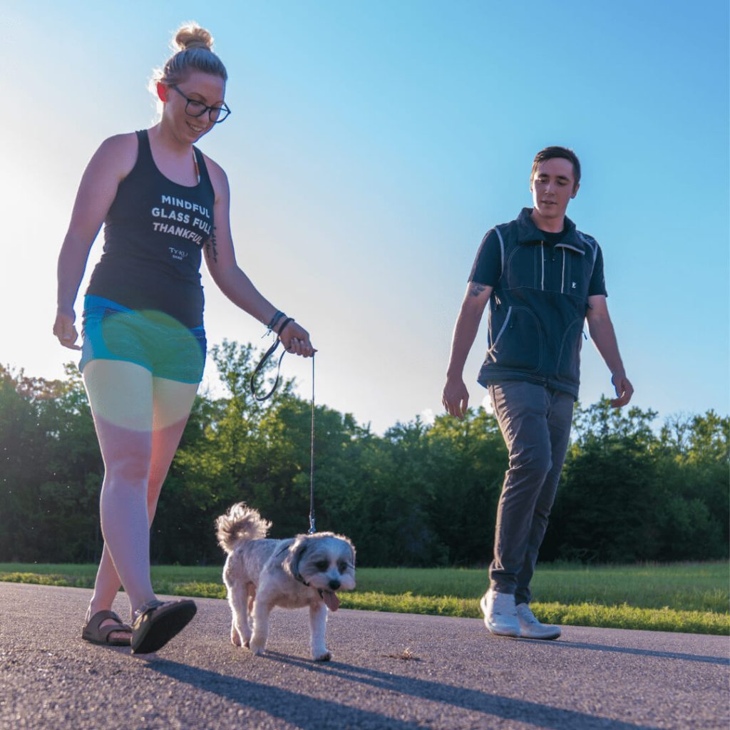 Engaged in a training session with a Precision Dog Training expert.