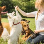 Proofing Dog Training for Real-World Reliability | Precision Dog Training