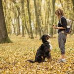 The Fall Focus Formula: Strengthen Obedience Before the Holiday Rush