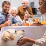 Dog Training for the Holidays: Helping Your Dog Shine Around Guests